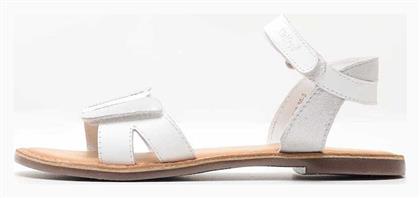 Kickers