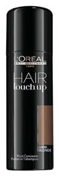 L'Oréal Professionnel Hair Touch Up Brown