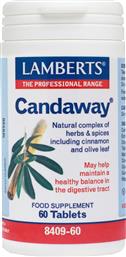 Lamberts Candaway 60 ταμπλέτες από το Pharm24