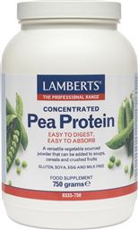 Lamberts Concentrated Pea Protein Χωρίς Γλουτένη & Λακτόζη 750gr