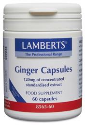 Lamberts Ginger 60 κάψουλες