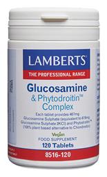 Lamberts Glucosamine & Phytodroitin Complex