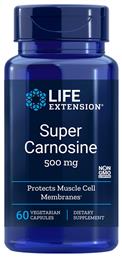 Life Extension Super Carnosine Protects Muscle Cell Membranes 500mg 60 φυτικές κάψουλες από το CareLife