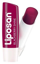 Liposan Blackberry Shine Lip Balm Blackberry Shine 4.8gr 4.8ml