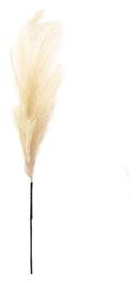 Marhome Διακοσμητικό Φτερό Pampas grass Foam Εκρού 117cm από το Designdrops