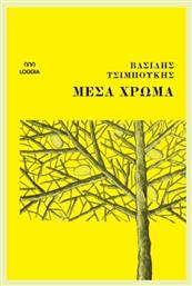 Μέσα Χρώμα