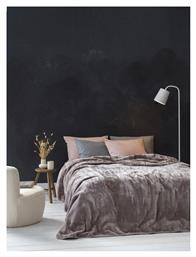 Nima Coperta