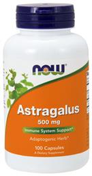 Now Foods Astragalus 500mg 100 κάψουλες από το Pharm24