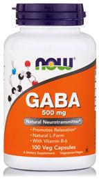 Now Foods Gaba 500mg 100 Κάψουλες Unflavoured