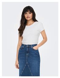 Only T-Shirt