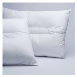 Palamaiki White Comfort Aloe Vera Βαμβάκι Ανατομικό Μέτριο 50x70cm