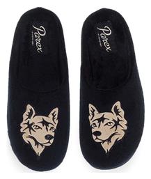 Parex