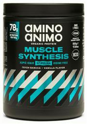 Physis Laboratory Amino Animo Muscle Synthesis Βανίλια 500gr