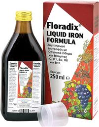 Salus Haus Floradix Liquid Iron Formula 250ml από το Pharm24