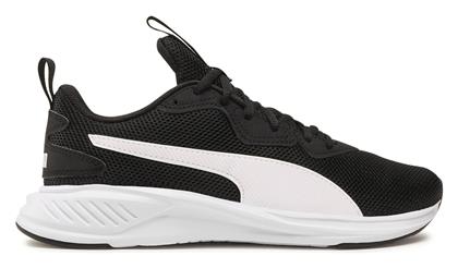 Puma Incinerate