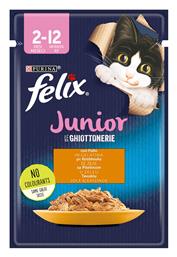 Purina Felix Junior Le Ghiottonerie 85gr από το Plus4u