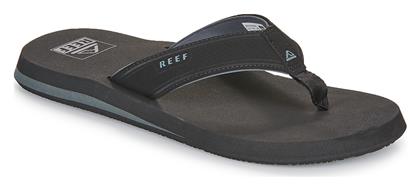 Reef
