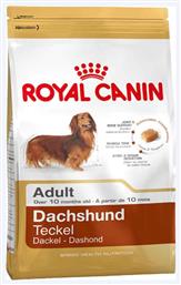 Royal Canin Adult Dachshund Teckel 1.5kg από το Plus4u