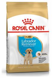 Royal Canin Puppy Labrador Retriever 12kg Ξηρά Τροφή για Κουτάβια Μεγαλόσωμων Φυλών με Καλαμπόκι, Πουλερικά και Ρύζι από το Plus4u