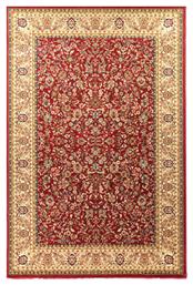 Royal Carpet Olympia 8595E Red