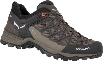 Salewa MTN Trainer Lite GTX Ανδρικά Ορειβατικά Παπούτσια με Μεμβράνη Gore-Tex Καφέ από το MybrandShoes