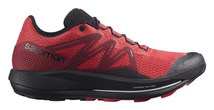 Salomon