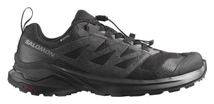 Salomon