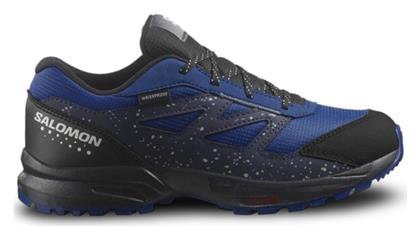 Salomon