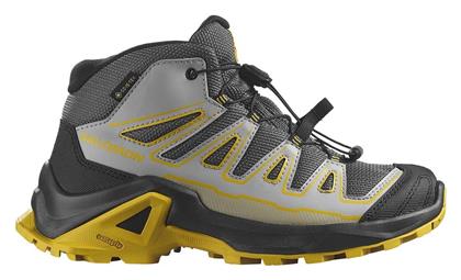 Salomon