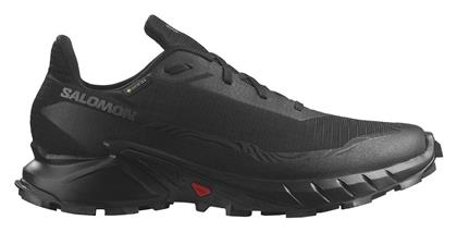 Salomon Alphacross 5 GTX Gore-Tex Ανδρικά Running Black Peat / Sulphur / Spring από το Mustshoes