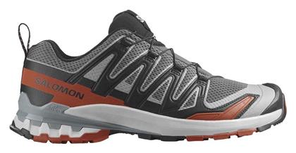 Salomon Ανδρικά Running Castlerock / Bl