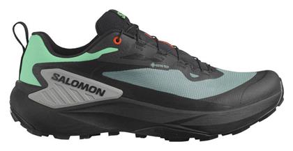 Salomon Genesis Gore-Tex Ανδρικά Trail Μπλε