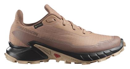 Salomon Gore-Tex Γυναικεία Running Cork / Black / Hazelnut - Σομόν