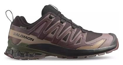 Salomon Xa Pro 3d Ανδρικά Ορειβατικά Gore-Tex Καφέ