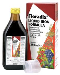 Salus Haus Floradix Liquid Iron Formula 250ml