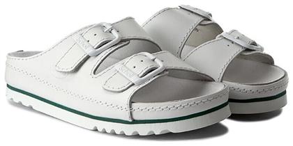 Scholl