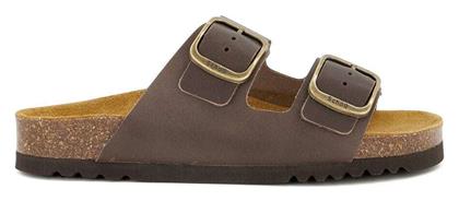 Scholl