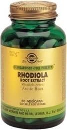 Solgar Rhodiola Root Extract 60 φυτικές κάψουλες από το Pharm24