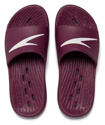 Speedo Slides σε Μωβ Χρώμα από το Outletcenter