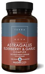 TerraNova Astragalus Elderberry & Garlic 100 φυτικές κάψουλες