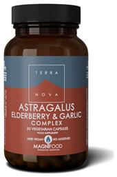 TerraNova Astragalus Elderberry & Garlic 50 φυτικές κάψουλες από το CareLife