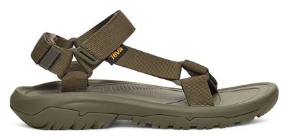 Teva