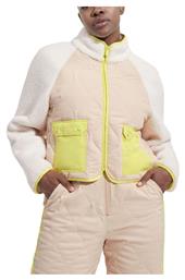 Ugg Australia