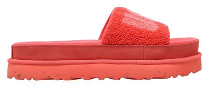 Ugg Australia LATON 1126350 Σαγιονάρες σε στυλ Πέδιλα