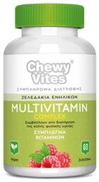 Vican Chewy Vites Adults Multivitamin Complex Πολυβιταμίνη 60 x 1 ζελεδάκια 60τμχ