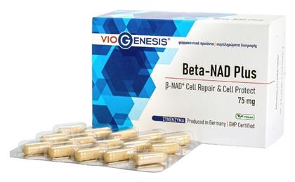 Viogenesis Beta-nad Plus 75mg Ειδικό Συμπλήρωμα Διατροφής 30 κάψουλες ''''