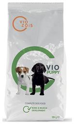 Viozois Vio Puppy
