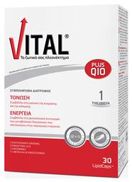 Vital Plus Q10 Πολυβιταμίνη 10mg 30 μαλακές κάψουλες από το Pharm24