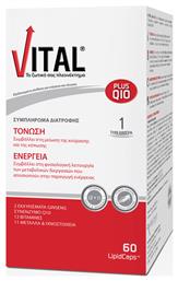 Vital Plus Q10 Πολυβιταμίνη 10mg 60 μαλακές κάψουλες από το Pharm24