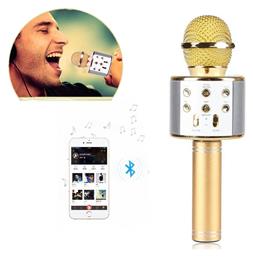WSTER Ασύρματο Μικρόφωνο Karaoke WS-858
